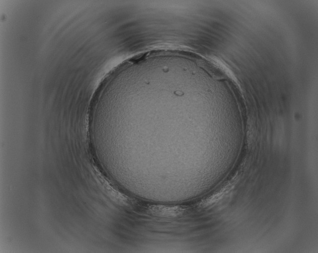 X0000089670831200707121222