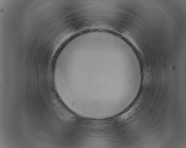 X0000089670832200707121222