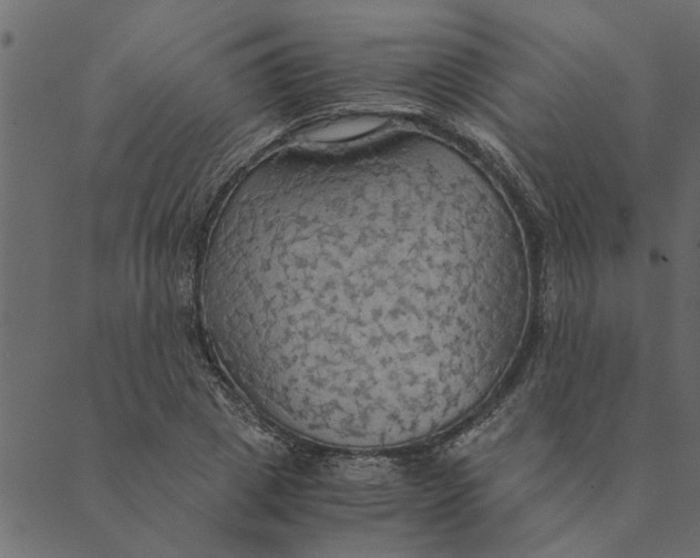 X0000089670833200707121222