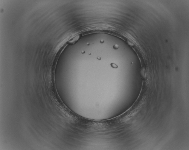 X0000089670834200707121222