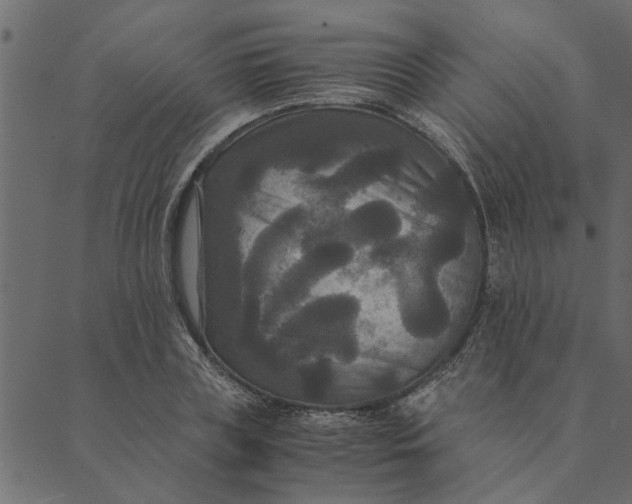 X0000089670835200707121222