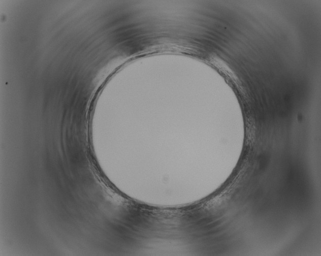 X0000089670836200707121222