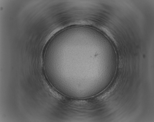 X0000089670837200707121222