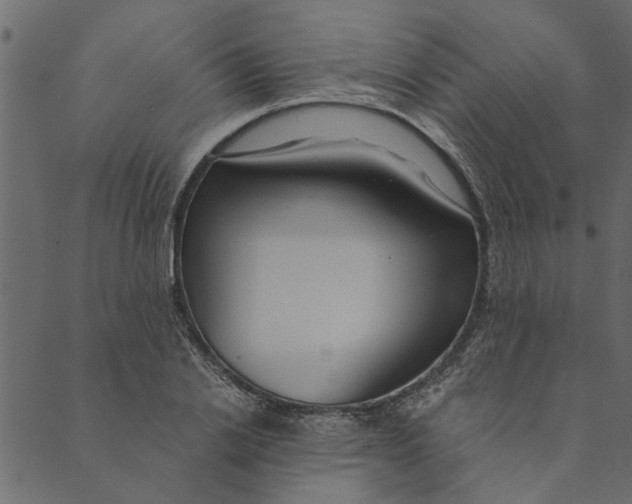 X0000089670838200707121222