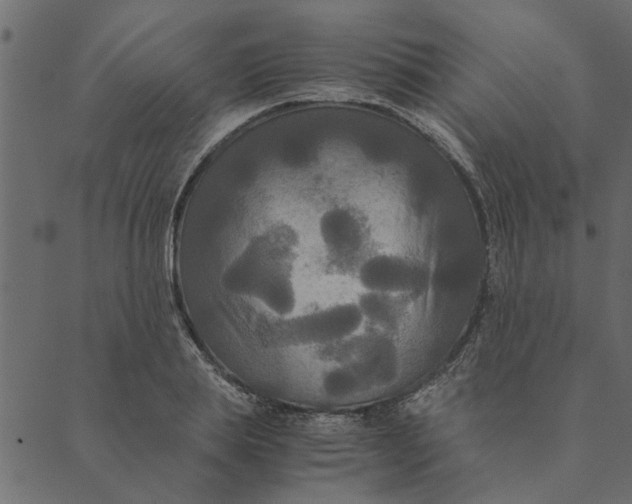 X0000089670839200707121222