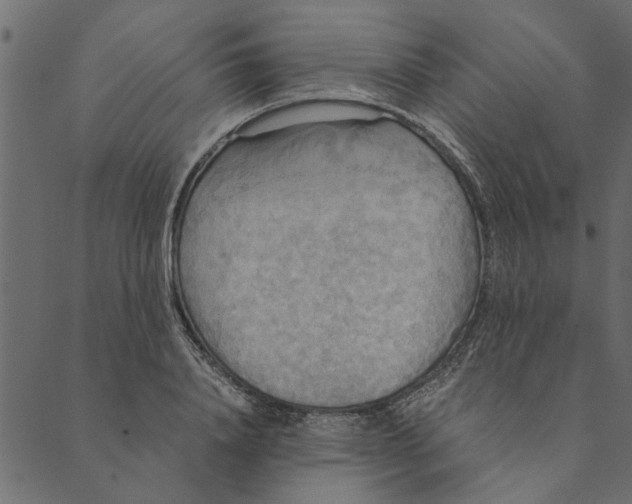 X0000089670840200707121222