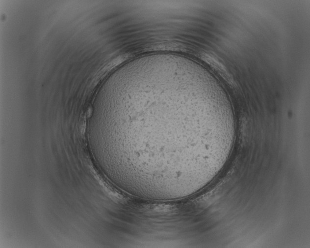 X0000089670841200707121222