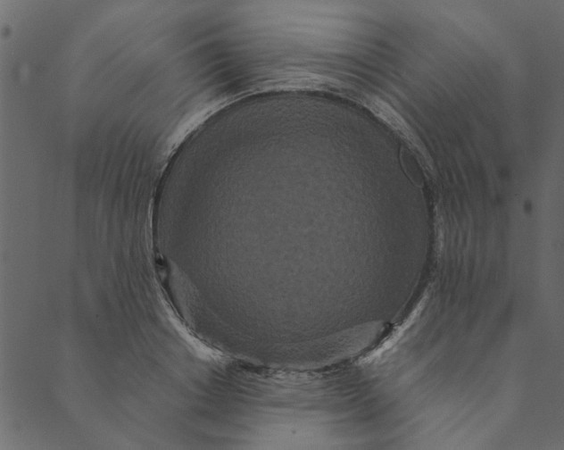 X0000089670842200707121222