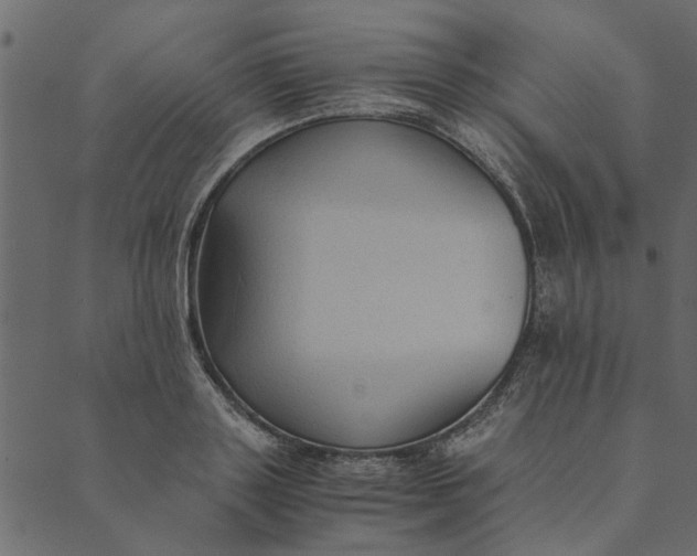 X0000089670843200707121222