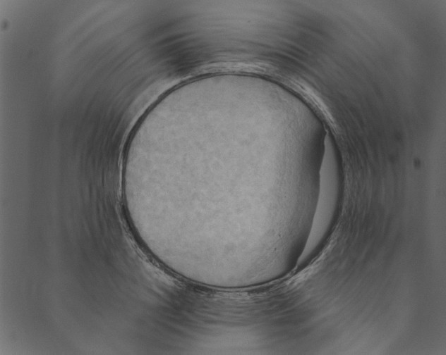 X0000089670844200707121222