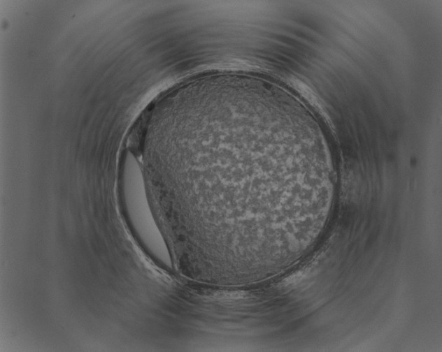 X0000089670845200707121222