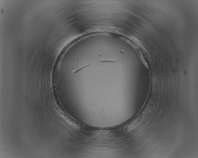 X0000089670846200707121222