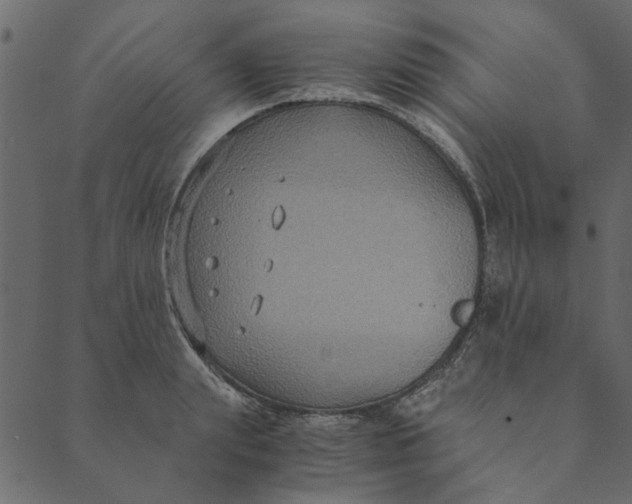 X0000089670847200707121222