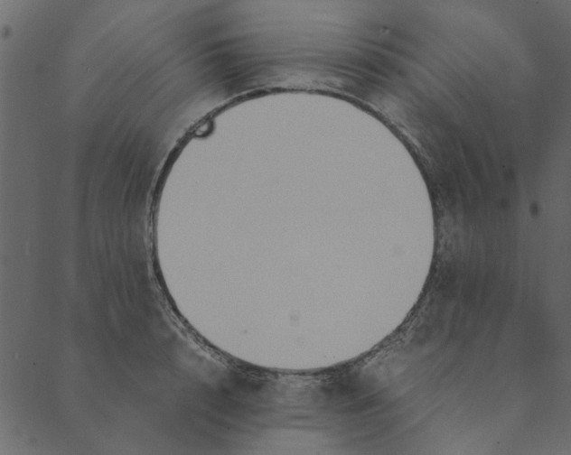 X0000089670848200707121222