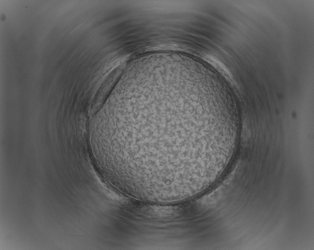 X0000089670849200707121222