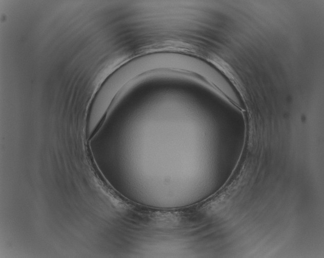 X0000089670850200707121222