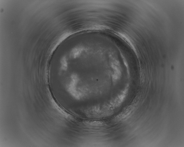 X0000089670851200707121222