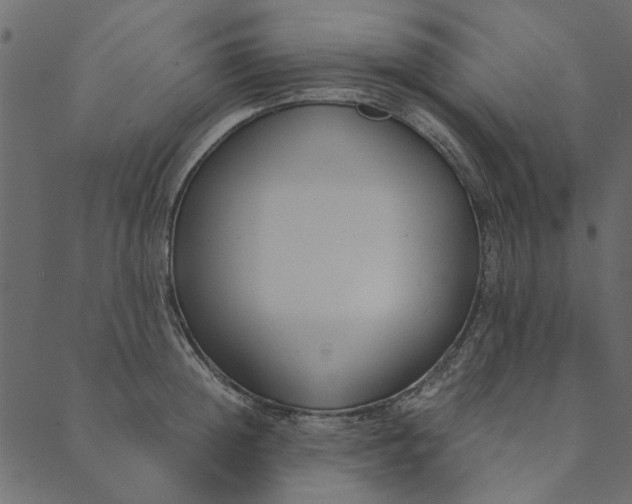 X0000089670852200707121222