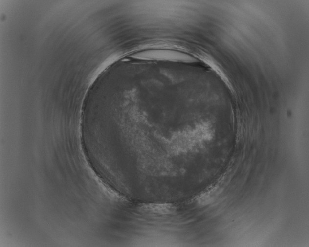 X0000089670853200707121222