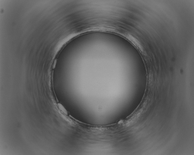 X0000089670854200707121222