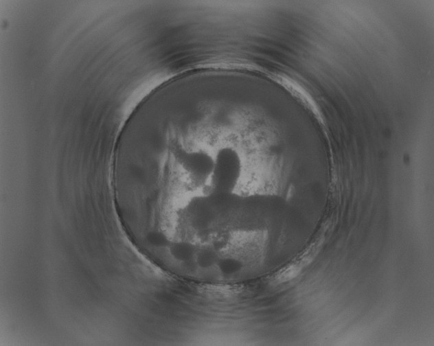 X0000089670855200707121222