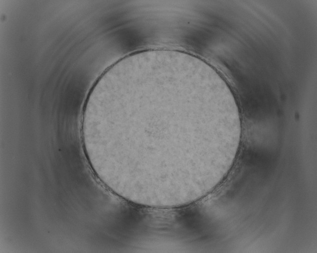 X0000089670856200707121222