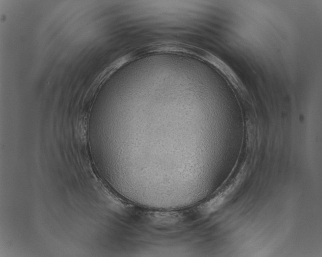 X0000089670857200707121222