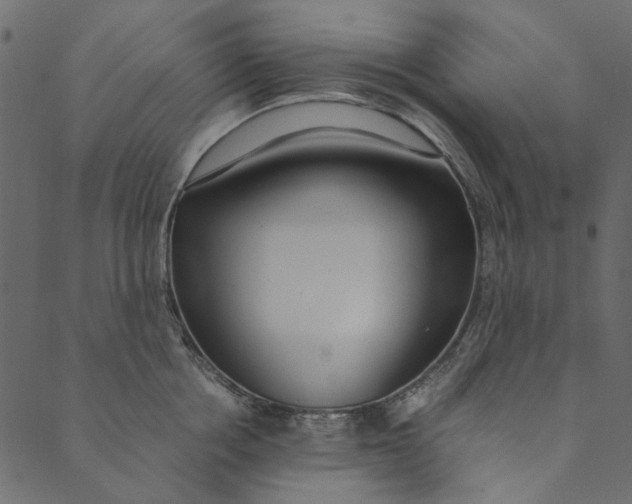 X0000089670858200707121222