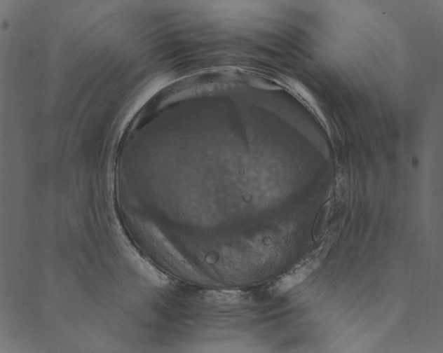 X0000089670859200707121222