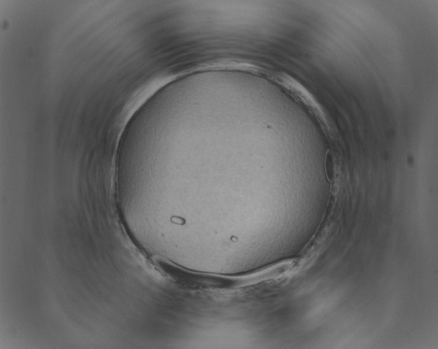 X0000089670860200707121222