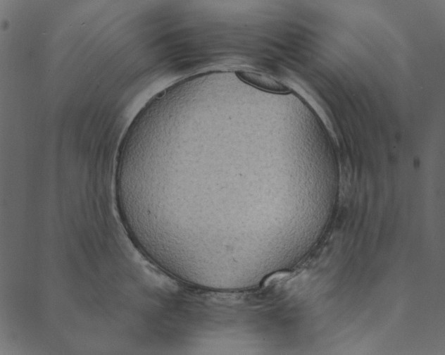 X0000089670861200707121222