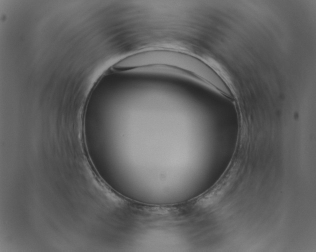 X0000089670862200707121222