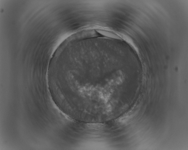 X0000089670863200707121222