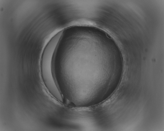 X0000089670864200707121222