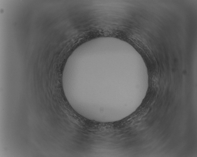 X0000089670865200707121221