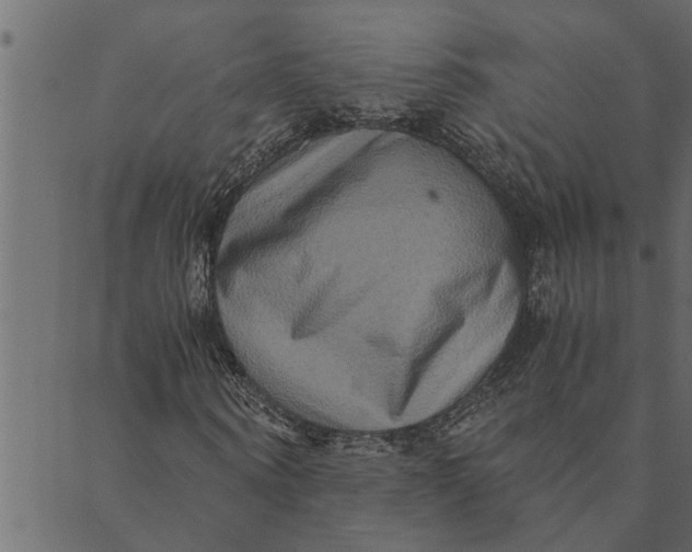 X0000089670866200707121221