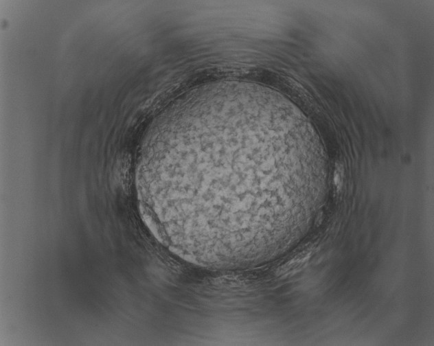 X0000089670867200707121221