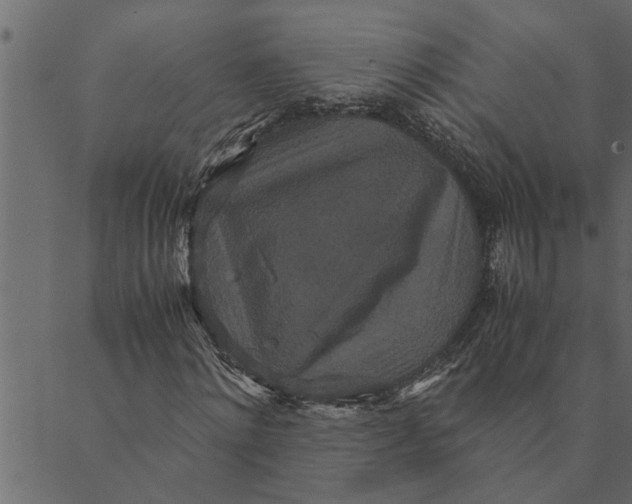 X0000089670868200707121221