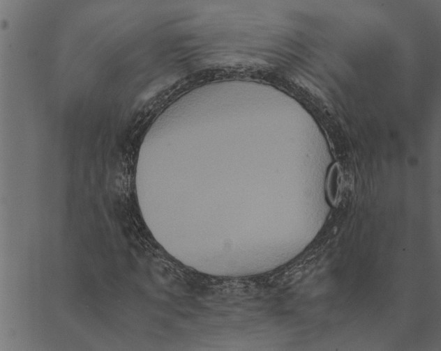 X0000089670869200707121221