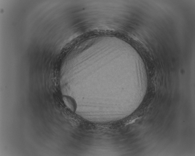 X0000089670870200707121221