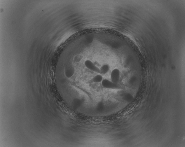 X0000089670871200707121221