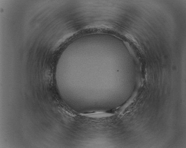 X0000089670872200707121221