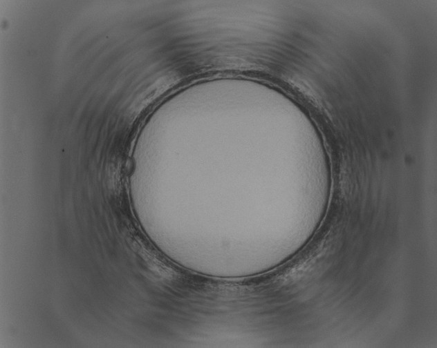 X0000089670873200707121221