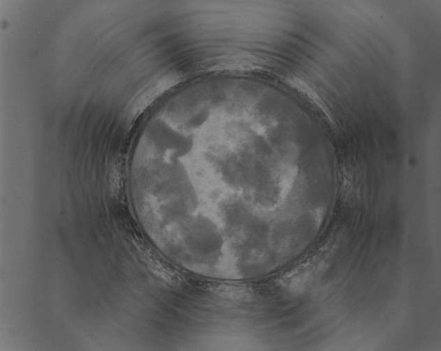 X0000089670874200707121221