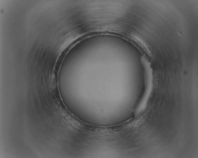 X0000089670876200707121221