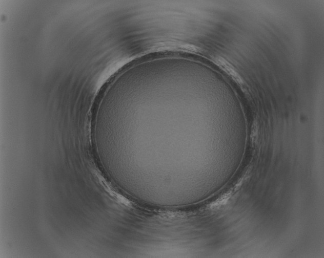 X0000089670877200707121221