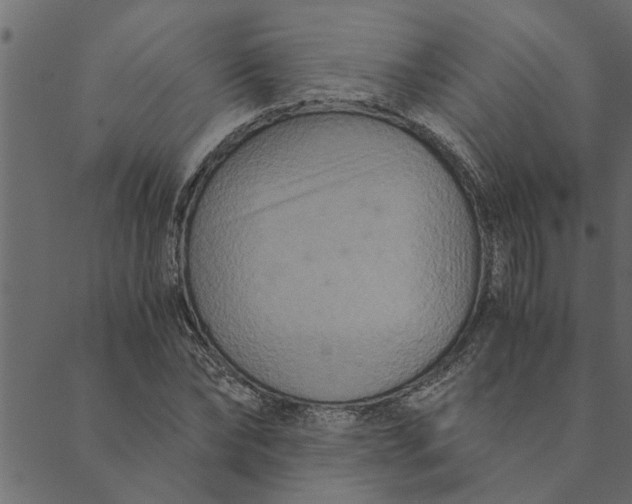 X0000089670878200707121221