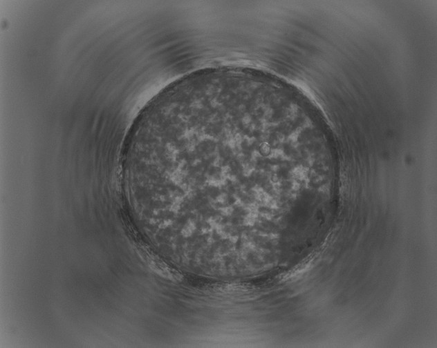 X0000089670879200707121221