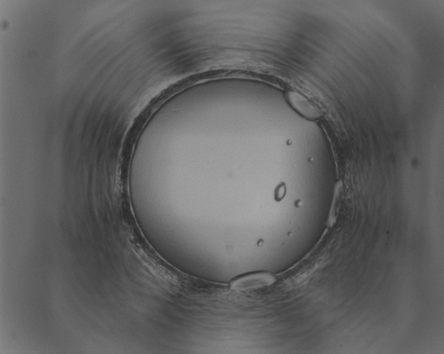 X0000089670880200707121221