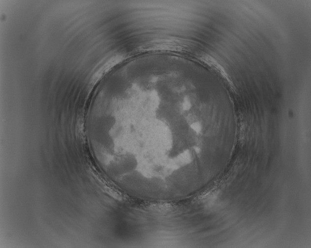 X0000089670882200707121221